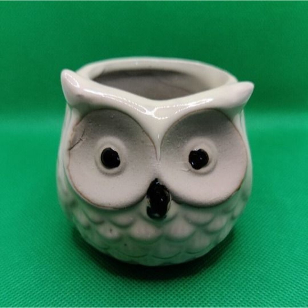 Ceramic Succulent Planter Owl